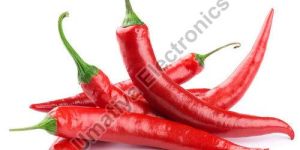 Fresh Red Chili