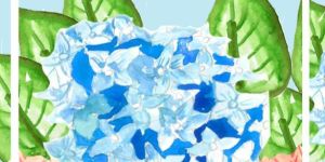 Multicolor School Notebook