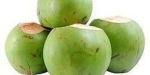 Tender Coconut