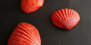 Red Mermaid Natural Seashell