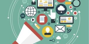 Seo Agencies in Pune