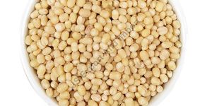 Urad Dal