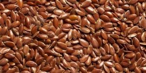 Flax Seeds