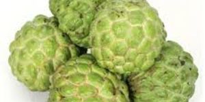 Fresh Custard Apple