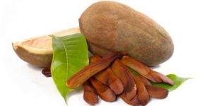 Fresh Mahogany Fruit