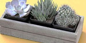 12x4 Inch Wooden Planter