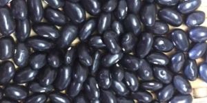 Black Kidney Beans