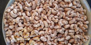 Nw Cashew Nuts