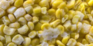 Frozen Sweet Corn