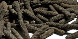 Dried Long Pepper Pipli