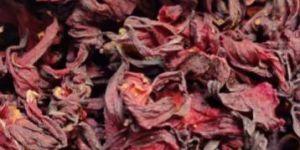 Dry Hibiscus Flower