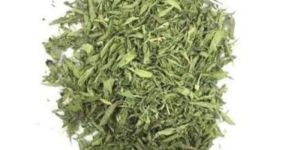 Green Stevia Dried Leaves