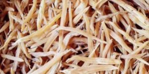 Raw Yellow Shatavari Roots