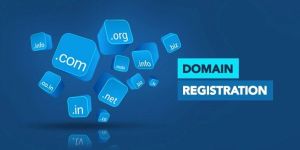 Domain Registration Services