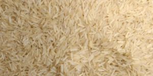 Capital Royal - 1509 Golden Sella Basmati Rice