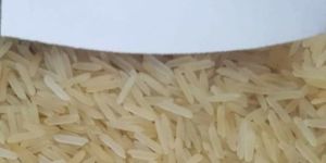 1509 Golden Sella Rice