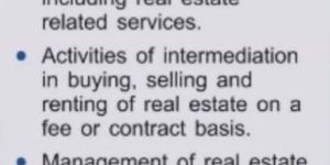 Real Estate Consultants