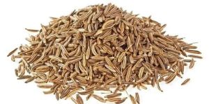 Natural Cumin Seeds