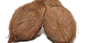 Raw Semi Husked Coconut