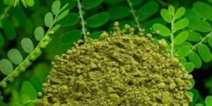 Bhumi Amla Powder
