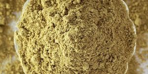 Gurmar Powder