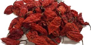 Bhut Jolokia Dried Red Chilli