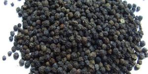 Black Pepper Seeds