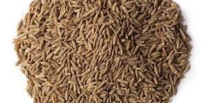 Brown Cumin Seeds