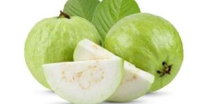 Fresh Guava