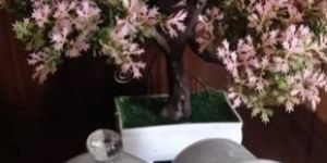 200ml White Glass Bell Jar