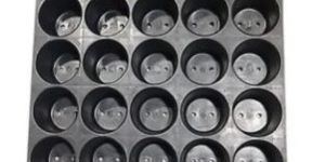 Seedling 45 Cavity Tray