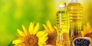 Sunflower Oil