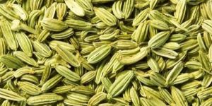 Fennel Seeds