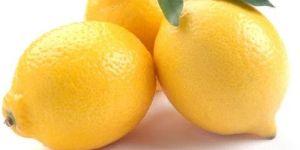 Fresh Lemon