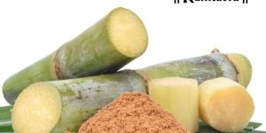 Organic Sugarcane Jaggery Powder