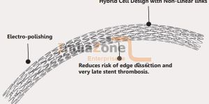 Everolimus Eluting Coronary Stent System