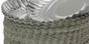 Disposable Paper Plate