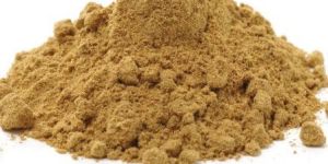 Dehydrated Coriander Powder