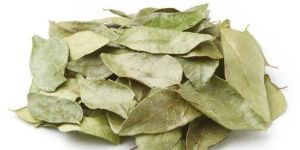 Dehydrated Curry Leaves