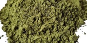 Dehydrated Mint Powder