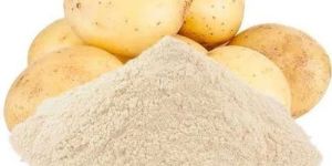 Dehydrated Potato Powder