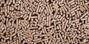 Wooden Pellet