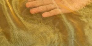 Dyed Bright Organza Fabric