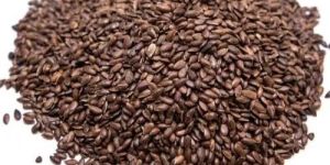 Roasted Flax Seeds