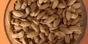 Almond