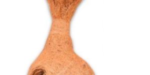 Flower Pot Bird Nest