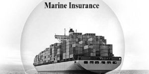 Marine Insurance Service