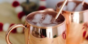 Copper Mule Mug