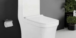 Venus One Piece Toilet Closet