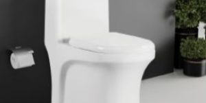 Violin One Piece Toilet Closet